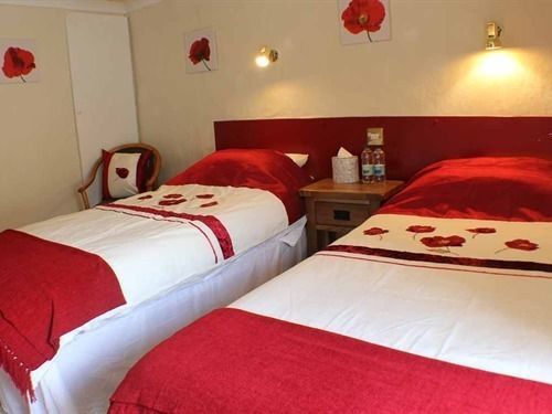Afon Duad Inn Cwm-Duad Екстериор снимка